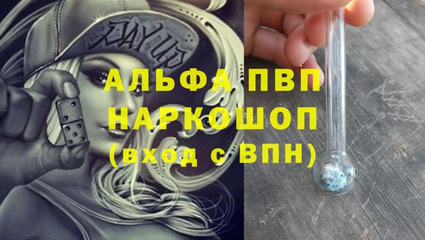 ECSTASY Михайлов