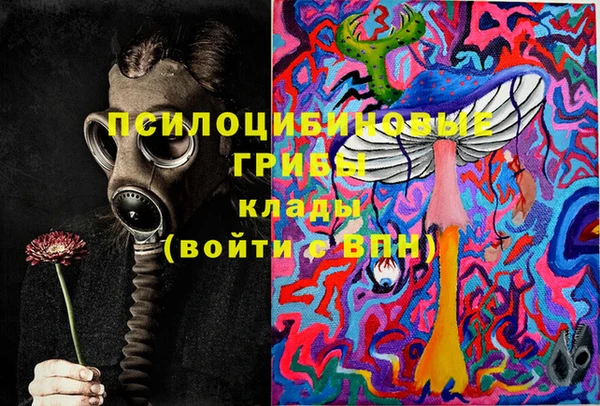 гидропоника Михайловск