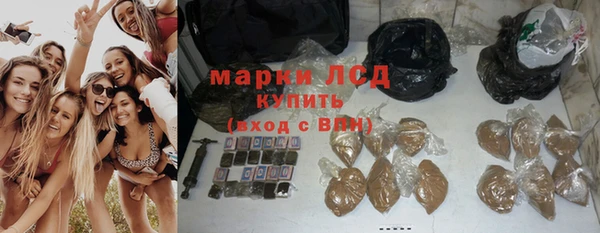ECSTASY Михайлов
