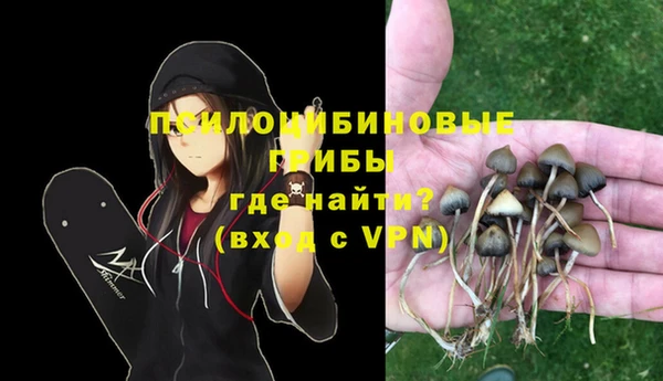 гидропоника Михайловск