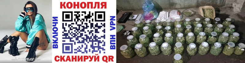 Канабис семена  магазин продажи   Шумерля 
